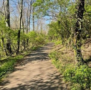 Meet your Posher, Benjamin